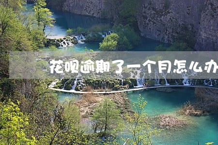 花呗逾期了一个月怎么办 花呗逾期了一个月怎么办