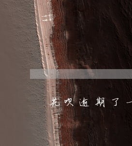 花呗逾期了一个月然后还款