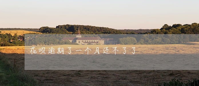 花呗逾期了一个月还不了了 花呗逾期了一个月还不了了