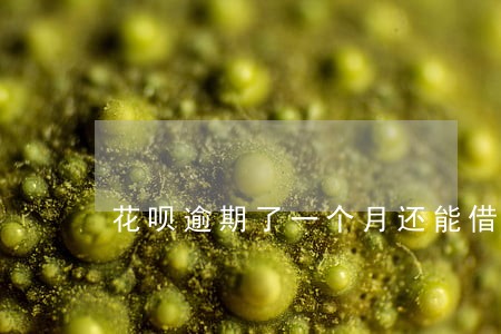 花呗逾期了一个月还能借出来吗 花呗逾期了一个月还能借出来吗