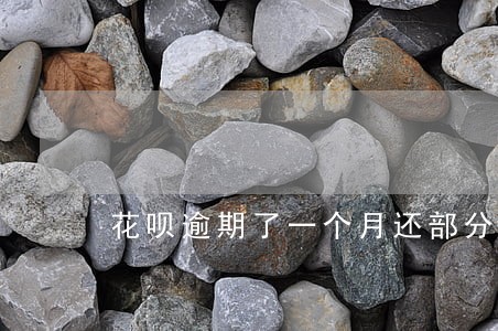 花呗逾期了一个月还部分可以吗 花呗逾期了一个月还部分可以吗