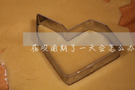花呗逾期了一天会怎么办 花呗逾期了一天会怎么办