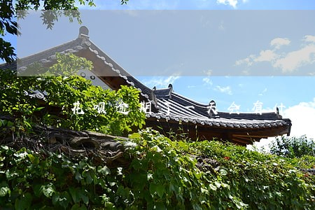 花呗逾期了一天会有什么影响 花呗逾期了一天会有什么影响