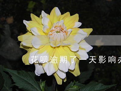 花呗逾期了一天影响办理房产证吗 花呗逾期了一天影响办理房产证吗