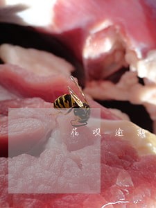 花呗逾期了一年了会怎样 花呗逾期了一年了会怎样
