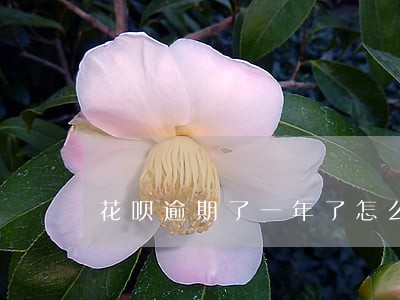花呗逾期了一年了怎么恢复 花呗逾期了一年了怎么恢复