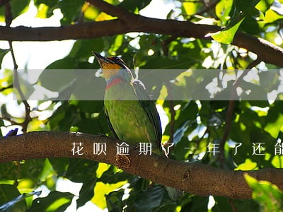 花呗逾期了一年了还能用吗 花呗逾期了一年了还能用吗