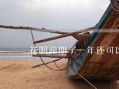 花呗逾期了一年还可以再借吗