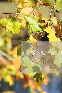 花呗逾期了一次还能贷款吗 花呗逾期了一次还能贷款吗