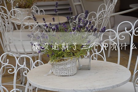 花呗逾期了三个月有什么后果 花呗逾期了三个月有什么后果