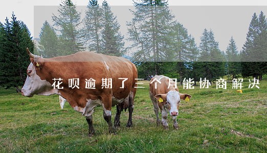 花呗逾期了三个月能协商解决