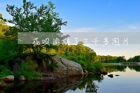 花呗逾期了三千多图片 花呗逾期了三千多图片