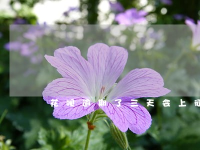 花呗逾期了三天会上征信吗 花呗逾期了三天会上征信吗