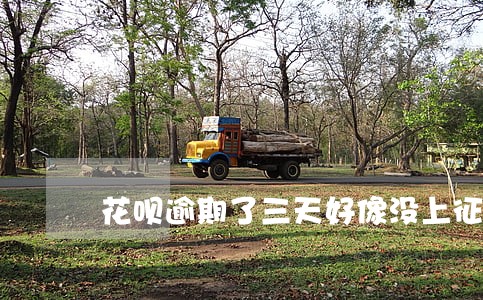 花呗逾期了三天好像没上征信 花呗逾期了三天好像没上征信