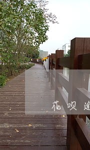花呗逾期了三年怎么 花呗逾期了三年怎么
