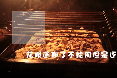 花呗逾期了不能用但是还有额度