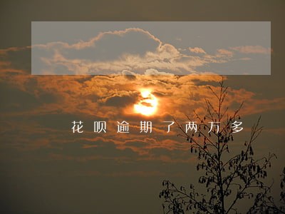花呗逾期了两万多 花呗逾期了两万多