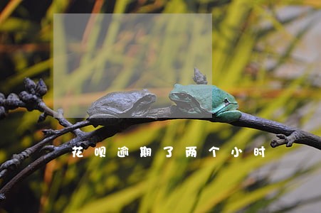 花呗逾期了两个小时 花呗逾期了两个小时