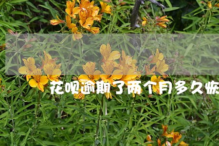 花呗逾期了两个月多久恢复 花呗逾期了两个月多久恢复