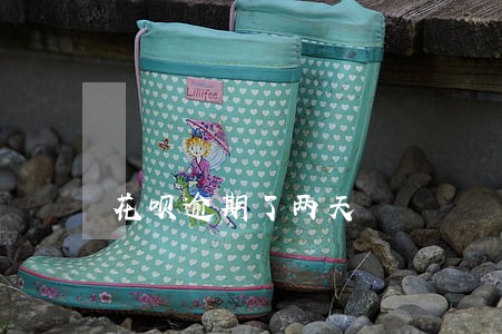 花呗逾期了两天 花呗逾期了两天