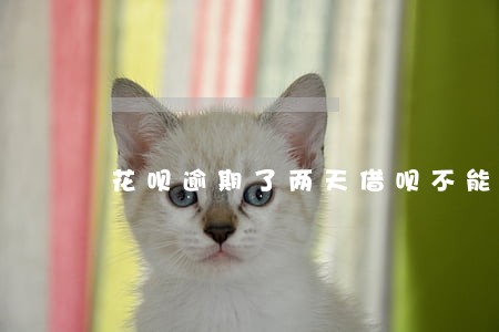 花呗逾期了两天借呗不能用了 花呗逾期了两天借呗不能用了
