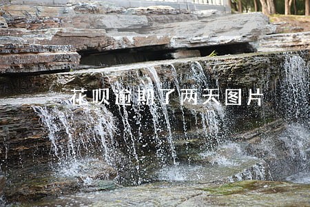 花呗逾期了两天图片 花呗逾期了两天图片