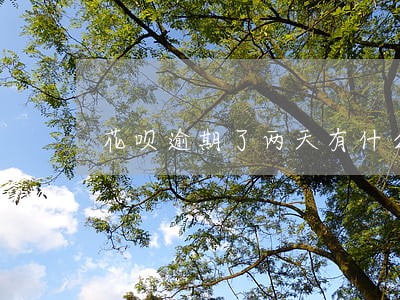 花呗逾期了两天有什么影响吗