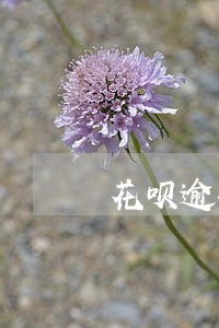 花呗逾期了两天有影响 花呗逾期了两天有影响