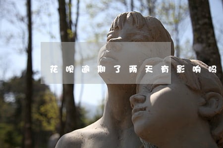 花呗逾期了两天有影响吗 花呗逾期了两天有影响吗