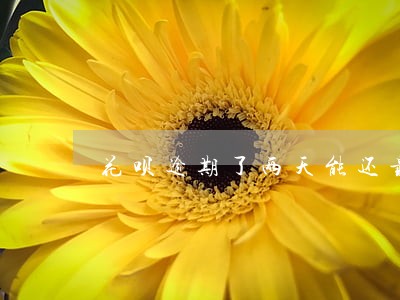 花呗逾期了两天能还最低还款吗 花呗逾期了两天能还最低还款吗