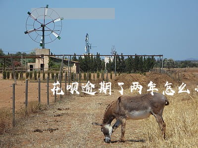 花呗逾期了两年怎么办 花呗逾期了两年怎么办