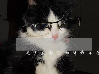 花呗逾期了两年最后怎么开通
