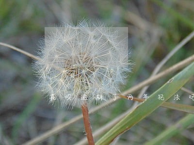 花呗逾期了两年犯法吗 花呗逾期了两年犯法吗