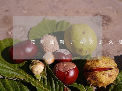 花呗逾期了两次多久能用 花呗逾期了两次多久能用