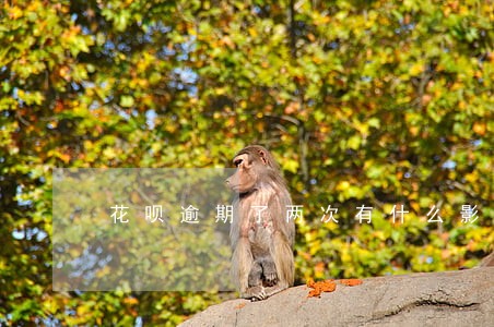 花呗逾期了两次有什么影响 花呗逾期了两次有什么影响