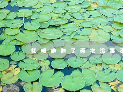 花呗逾期了两次没事不 花呗逾期了两次没事不