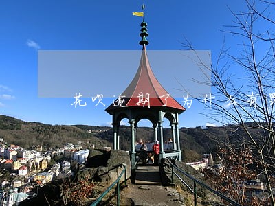 花呗逾期了为什么有罚息 花呗逾期了为什么有罚息