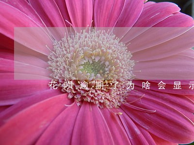 花呗逾期了为啥会显示账户异常呢 花呗逾期了为啥会显示账户异常呢
