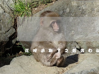花呗逾期了之后会自动还款吗 花呗逾期了之后会自动还款吗