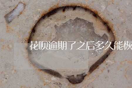 花呗逾期了之后多久能恢复使用 花呗逾期了之后多久能恢复使用
