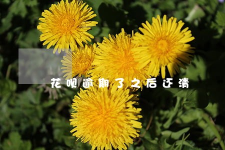 花呗逾期了之后还清 花呗逾期了之后还清