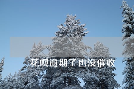 花呗逾期了也没催收 花呗逾期了也没催收