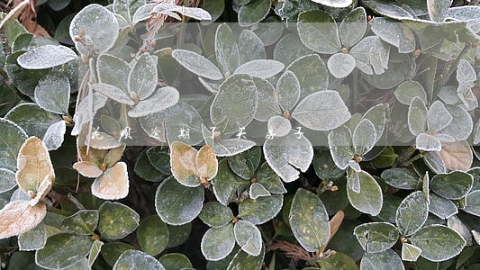 花呗逾期了买房子 花呗逾期了买房子