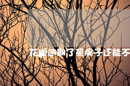 花呗逾期了买房子还能不能分期 花呗逾期了买房子还能不能分期