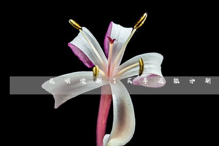 花呗逾期了买车还能分期吗 花呗逾期了买车还能分期吗