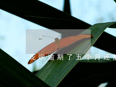 花呗逾期了五个月还能用吗 花呗逾期了五个月还能用吗