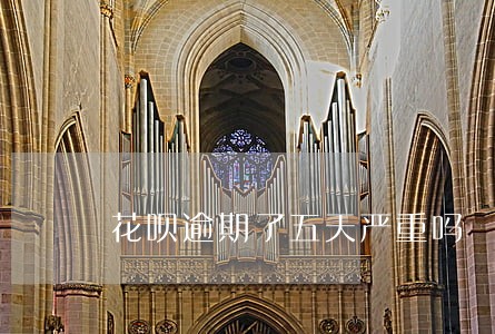 花呗逾期了五天严重吗 花呗逾期了五天严重吗