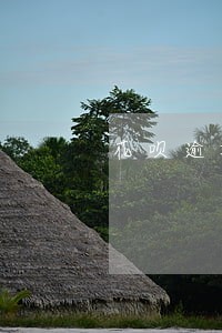花呗逾期了五天花呗无法使用 花呗逾期了五天花呗无法使用