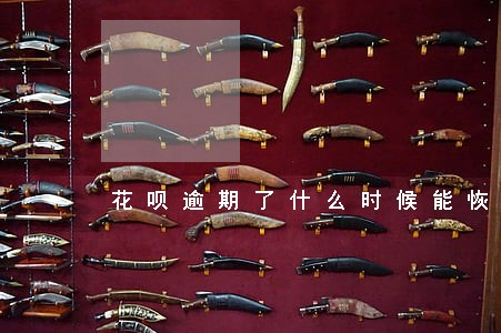 花呗逾期了什么时候能恢复 花呗逾期了什么时候能恢复