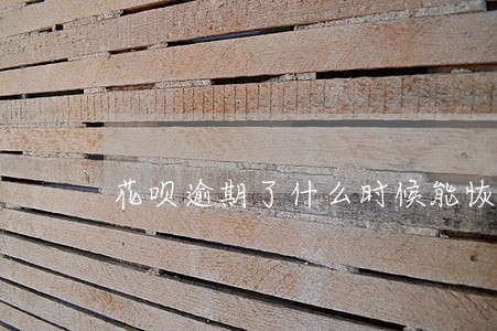花呗逾期了什么时候能恢复使用 花呗逾期了什么时候能恢复使用
